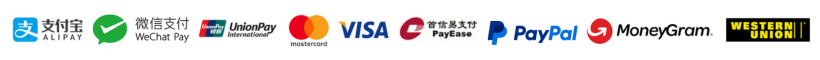 Supported international payment methods including Alipay, WeChat Pay, UnionPay, Mastercard, Visa, PayEase, PayPal, MoneyGram, and Western Union